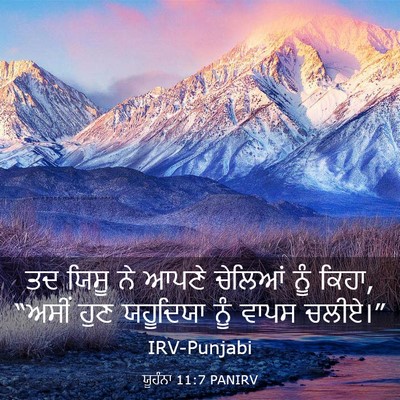 Picture 03 - ਯੂਹੰਨਾ 11:7 PANIRV - ਤਦ ਯਿਸੂ ਨੇ ਆਪਣੇ - Bible Verse Picture