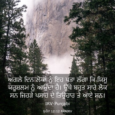 Picture 03 - ਯੂਹੰਨਾ 12:12 PANIRV - ਅਗਲੇ ਦਿਨ ਲੋਕਾਂ ਨੂੰ - Bible Verse Picture
