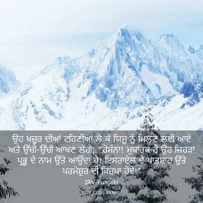 Picture 03 - ਯੂਹੰਨਾ 12:13 PANIRV - ਉਹ ਖਜ਼ੂਰ ਦੀਆਂ - Bible Verse Picture
