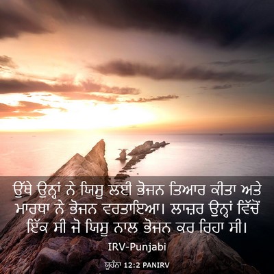 Picture 03 - ਯੂਹੰਨਾ 12:2 PANIRV - ਉੱਥੇ ਉਨ੍ਹਾਂ ਨੇ - Bible Verse Picture