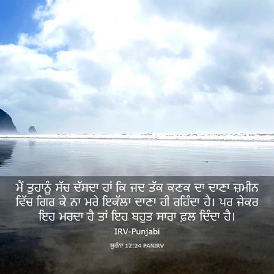 Picture 03 - ਯੂਹੰਨਾ 12:24 PANIRV - ਮੈਂ ਤੁਹਾਨੂੰ ਸੱਚ - Bible Verse Picture