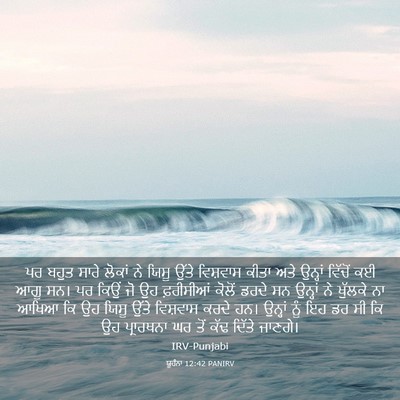 Picture 03 - ਯੂਹੰਨਾ 12:42 PANIRV - ਪਰ ਬਹੁਤ ਸਾਰੇ ਲੋਕਾਂ - Bible Verse Picture