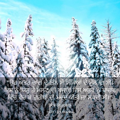 Picture 03 - ਯੂਹੰਨਾ 12:5 PANIRV - “ਉਹ ਅਤਰ ਚਾਂਦੀ ਦੇ - Bible Verse Picture