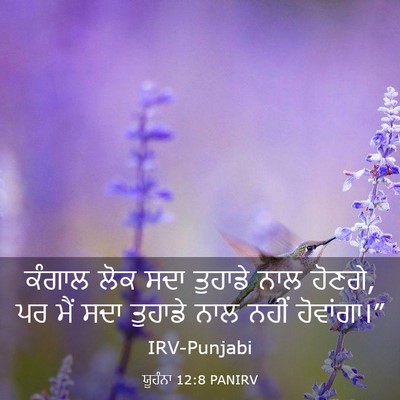 Picture 03 - ਯੂਹੰਨਾ 12:8 PANIRV - ਕੰਗਾਲ ਲੋਕ ਸਦਾ - Bible Verse Picture