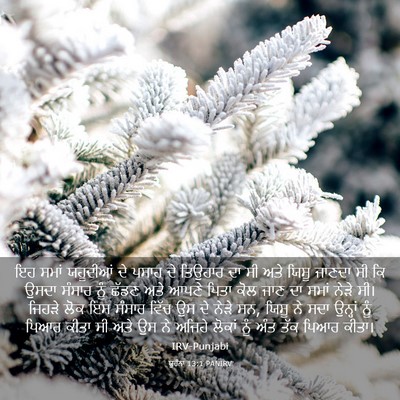 Picture 03 - ਯੂਹੰਨਾ 13:1 PANIRV - ਇਹ ਸਮਾਂ ਯਹੂਦੀਆਂ ਦੇ - Bible Verse Picture