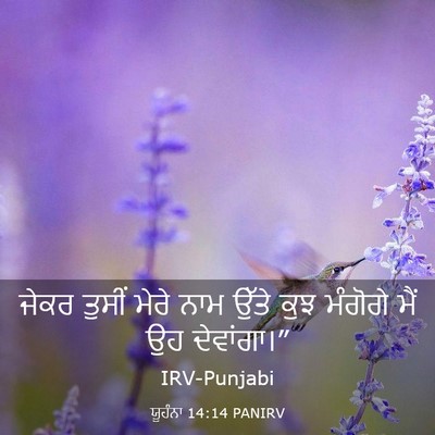 Picture 03 - ਯੂਹੰਨਾ 14:14 PANIRV - ਜੇਕਰ ਤੁਸੀਂ ਮੇਰੇ - Bible Verse Picture