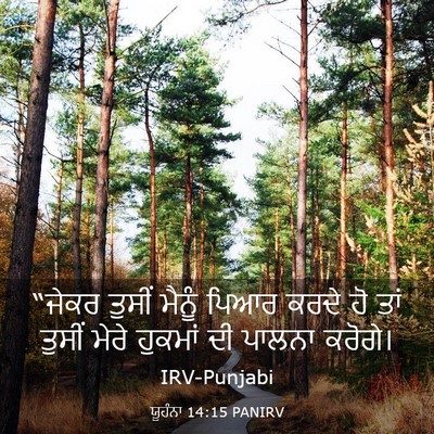 Picture 03 - ਯੂਹੰਨਾ 14:15 PANIRV - “ਜੇਕਰ ਤੁਸੀਂ ਮੈਨੂੰ - Bible Verse Picture