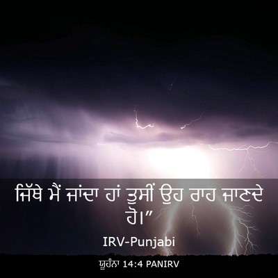 Picture 03 - ਯੂਹੰਨਾ 14:4 PANIRV - ਜਿੱਥੇ ਮੈਂ ਜਾਂਦਾ - Bible Verse Picture