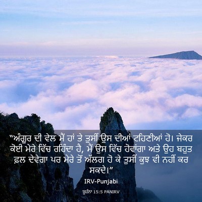 Picture 03 - ਯੂਹੰਨਾ 15:5 PANIRV - “ਅੰਗੂਰ ਦੀ ਵੇਲ ਮੈਂ - Bible Verse Picture