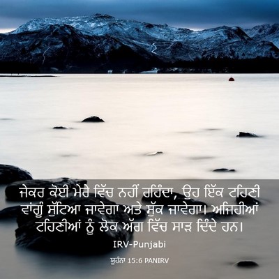 Picture 03 - ਯੂਹੰਨਾ 15:6 PANIRV - ਜੇਕਰ ਕੋਈ ਮੇਰੇ ਵਿੱਚ - Bible Verse Picture