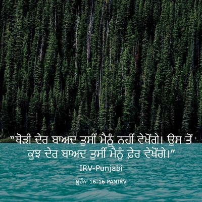 Picture 03 - ਯੂਹੰਨਾ 16:16 PANIRV - “ਥੋੜੀ ਦੇਰ ਬਾਅਦ - Bible Verse Picture