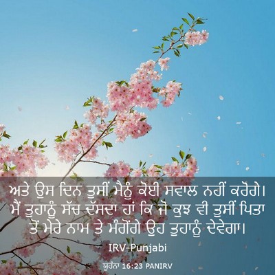 Picture 03 - ਯੂਹੰਨਾ 16:23 PANIRV - ਅਤੇ ਉਸ ਦਿਨ ਤੁਸੀਂ - Bible Verse Picture