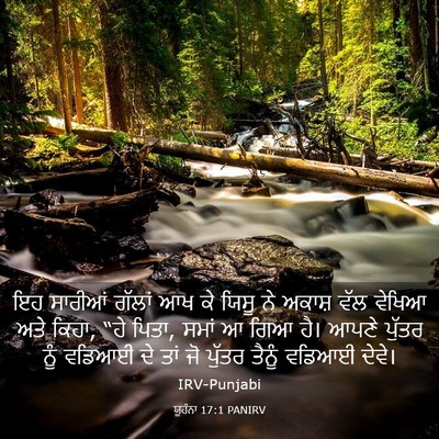Picture 03 - ਯੂਹੰਨਾ 17:1 PANIRV - ਇਹ ਸਾਰੀਆਂ ਗੱਲਾਂ ਆਖ - Bible Verse Picture