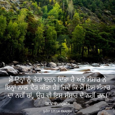 Picture 03 - ਯੂਹੰਨਾ 17:14 PANIRV - ਮੈਂ ਉਨ੍ਹਾਂ ਨੂੰ - Bible Verse Picture