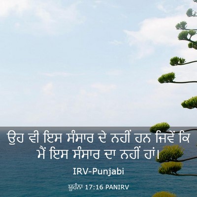 Picture 03 - ਯੂਹੰਨਾ 17:16 PANIRV - ਉਹ ਵੀ ਇਸ ਸੰਸਾਰ ਦੇ - Bible Verse Picture