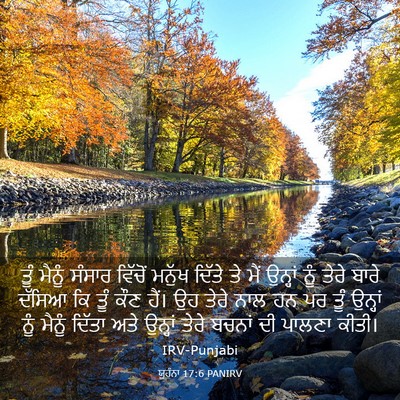 Picture 03 - ਯੂਹੰਨਾ 17:6 PANIRV - ਤੂੰ ਮੈਨੂੰ ਸੰਸਾਰ - Bible Verse Picture
