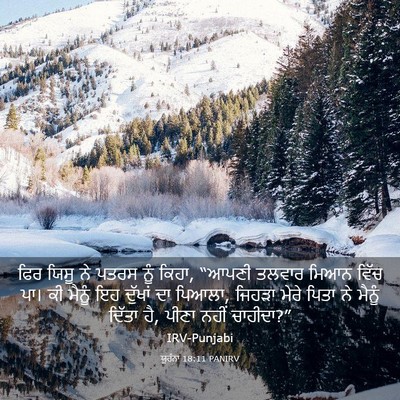 Picture 03 - ਯੂਹੰਨਾ 18:11 PANIRV - ਫਿਰ ਯਿਸੂ ਨੇ ਪਤਰਸ - Bible Verse Picture