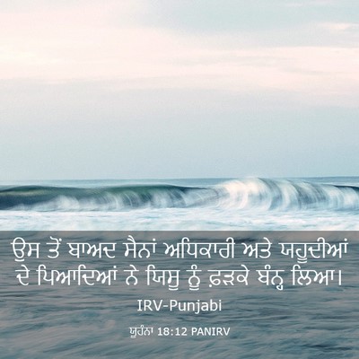 Picture 03 - ਯੂਹੰਨਾ 18:12 PANIRV - ਉਸ ਤੋਂ ਬਾਅਦ ਸੈਨਾਂ - Bible Verse Picture