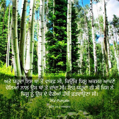 Picture 03 - ਯੂਹੰਨਾ 18:2 PANIRV - ਅਤੇ ਯਹੂਦਾ ਇਸ ਥਾਂ - Bible Verse Picture
