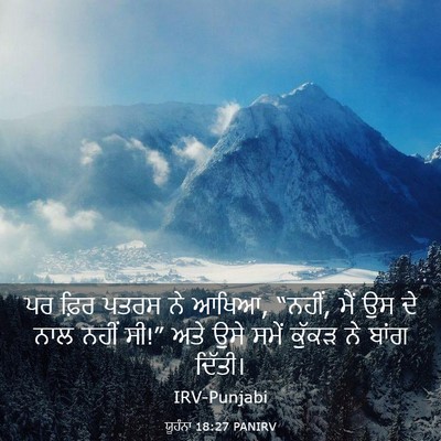 Picture 03 - ਯੂਹੰਨਾ 18:27 PANIRV - ਪਰ ਫ਼ਿਰ ਪਤਰਸ ਨੇ - Bible Verse Picture