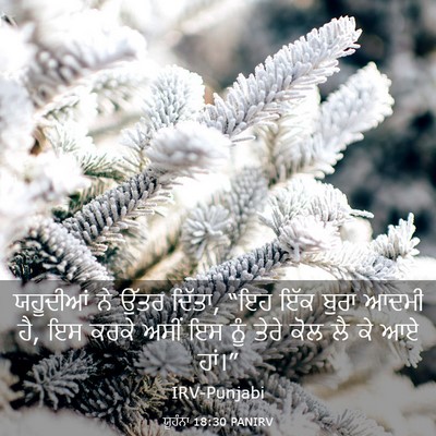 Picture 03 - ਯੂਹੰਨਾ 18:30 PANIRV - ਯਹੂਦੀਆਂ ਨੇ ਉੱਤਰ - Bible Verse Picture