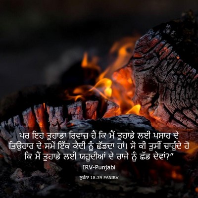 Picture 03 - ਯੂਹੰਨਾ 18:39 PANIRV - ਪਰ ਇਹ ਤੁਹਾਡਾ - Bible Verse Picture