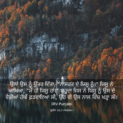 Picture 03 - ਯੂਹੰਨਾ 18:5 PANIRV - ਉਨਾਂ ਉਸ ਨੂੰ ਉੱਤਰ - Bible Verse Picture