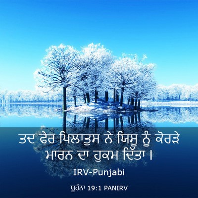 Picture 03 - ਯੂਹੰਨਾ 19:1 PANIRV - ਤਦ ਫੇਰ ਪਿਲਾਤੁਸ ਨੇ - Bible Verse Picture