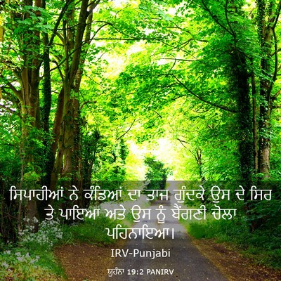Picture 03 - ਯੂਹੰਨਾ 19:2 PANIRV - ਸਿਪਾਹੀਆਂ ਨੇ - Bible Verse Picture