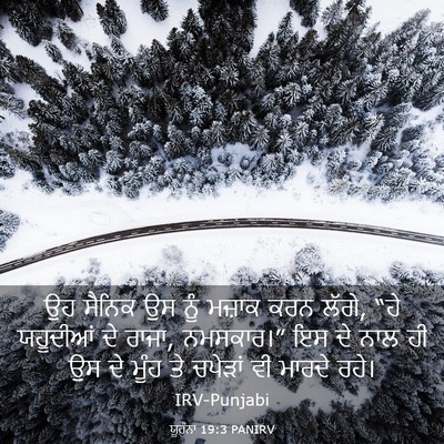 Picture 03 - ਯੂਹੰਨਾ 19:3 PANIRV - ਉਹ ਸੈਨਿਕ ਉਸ ਨੂੰ - Bible Verse Picture