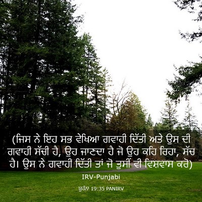 Picture 03 - ਯੂਹੰਨਾ 19:35 PANIRV - (ਜਿਸ ਨੇ ਇਹ ਸਭ ਵੇਖਿਆ - Bible Verse Picture