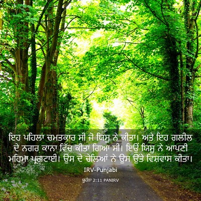 Picture 03 - ਯੂਹੰਨਾ 2:11 PANIRV - ਇਹ ਪਹਿਲਾ ਚਮਤਕਾਰ ਸੀ - Bible Verse Picture