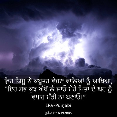 Picture 03 - ਯੂਹੰਨਾ 2:16 PANIRV - ਫ਼ਿਰ ਯਿਸੂ ਨੇ ਕਬੂਤਰ - Bible Verse Picture