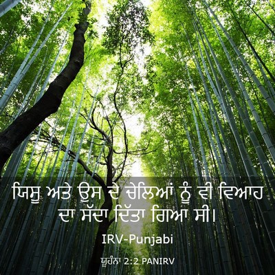 Picture 03 - ਯੂਹੰਨਾ 2:2 PANIRV - ਯਿਸੂ ਅਤੇ ਉਸ ਦੇ - Bible Verse Picture