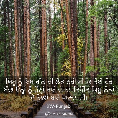 Picture 03 - ਯੂਹੰਨਾ 2:25 PANIRV - ਯਿਸੂ ਨੂੰ ਇਸ ਗੱਲ ਦੀ - Bible Verse Picture
