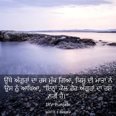 Picture 03 - ਯੂਹੰਨਾ 2:3 PANIRV - ਉੱਥੇ ਅੰਗੂਰਾਂ ਦਾ ਰਸ - Bible Verse Picture
