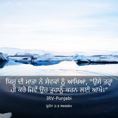 Picture 03 - ਯੂਹੰਨਾ 2:5 PANIRV - ਯਿਸੂ ਦੀ ਮਾਤਾ ਨੇ - Bible Verse Picture