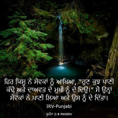 Picture 03 - ਯੂਹੰਨਾ 2:8 PANIRV - ਫਿਰ ਯਿਸੂ ਨੇ ਸੇਵਕਾਂ - Bible Verse Picture