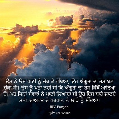 Picture 03 - ਯੂਹੰਨਾ 2:9 PANIRV - ਉਸ ਨੇ ਉਸ ਪਾਣੀ ਨੂੰ - Bible Verse Picture