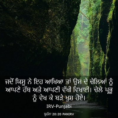 Picture 03 - ਯੂਹੰਨਾ 20:20 PANIRV - ਜਦੋਂ ਯਿਸੂ ਨੇ ਇਹ - Bible Verse Picture