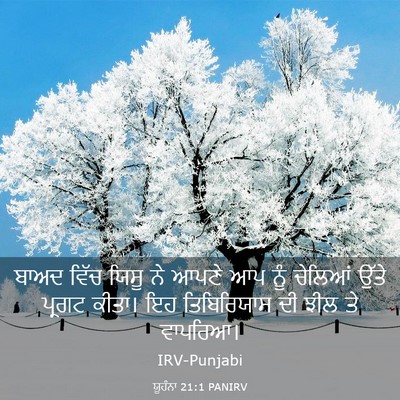 Picture 03 - ਯੂਹੰਨਾ 21:1 PANIRV - ਬਾਅਦ ਵਿੱਚ ਯਿਸੂ ਨੇ - Bible Verse Picture