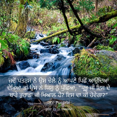 Picture 03 - ਯੂਹੰਨਾ 21:21 PANIRV - ਜਦੋਂ ਪਤਰਸ ਨੇ ਉਸ - Bible Verse Picture
