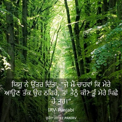 Picture 03 - ਯੂਹੰਨਾ 21:22 PANIRV - ਯਿਸੂ ਨੇ ਉੱਤਰ ਦਿੱਤਾ, - Bible Verse Picture