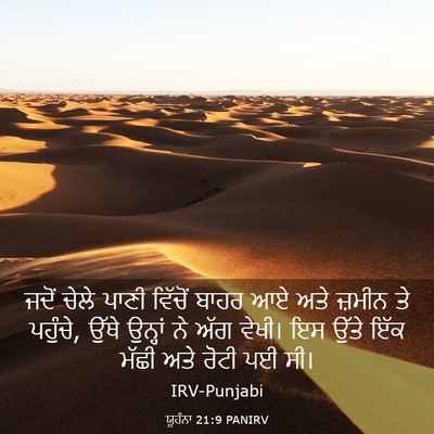 Picture 03 - ਯੂਹੰਨਾ 21:9 PANIRV - ਜਦੋਂ ਚੇਲੇ ਪਾਣੀ - Bible Verse Picture
