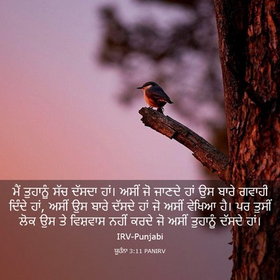 Picture 03 - ਯੂਹੰਨਾ 3:11 PANIRV - ਮੈਂ ਤੁਹਾਨੂੰ ਸੱਚ - Bible Verse Picture