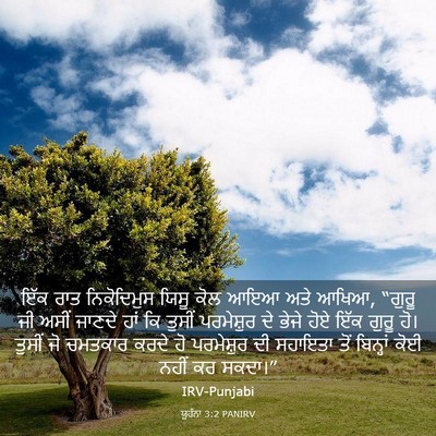 Picture 03 - ਯੂਹੰਨਾ 3:2 PANIRV - ਇੱਕ ਰਾਤ ਨਿਕੋਦਿਮੁਸ - Bible Verse Picture