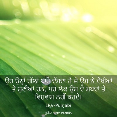Picture 03 - ਯੂਹੰਨਾ 3:32 PANIRV - ਉਹ ਉਨ੍ਹਾਂ ਗੱਲਾਂ - Bible Verse Picture