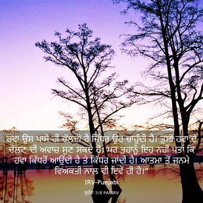 Picture 03 - ਯੂਹੰਨਾ 3:8 PANIRV - ਹਵਾ ਉਸ ਪਾਸੇ ਹੀ - Bible Verse Picture