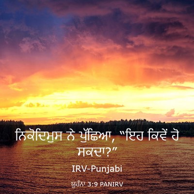 Picture 03 - ਯੂਹੰਨਾ 3:9 PANIRV - ਨਿਕੋਦਿਮੁਸ ਨੇ - Bible Verse Picture