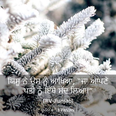 Picture 03 - ਯੂਹੰਨਾ 4:16 PANIRV - ਯਿਸੂ ਨੇ ਉਸ ਨੂੰ - Bible Verse Picture